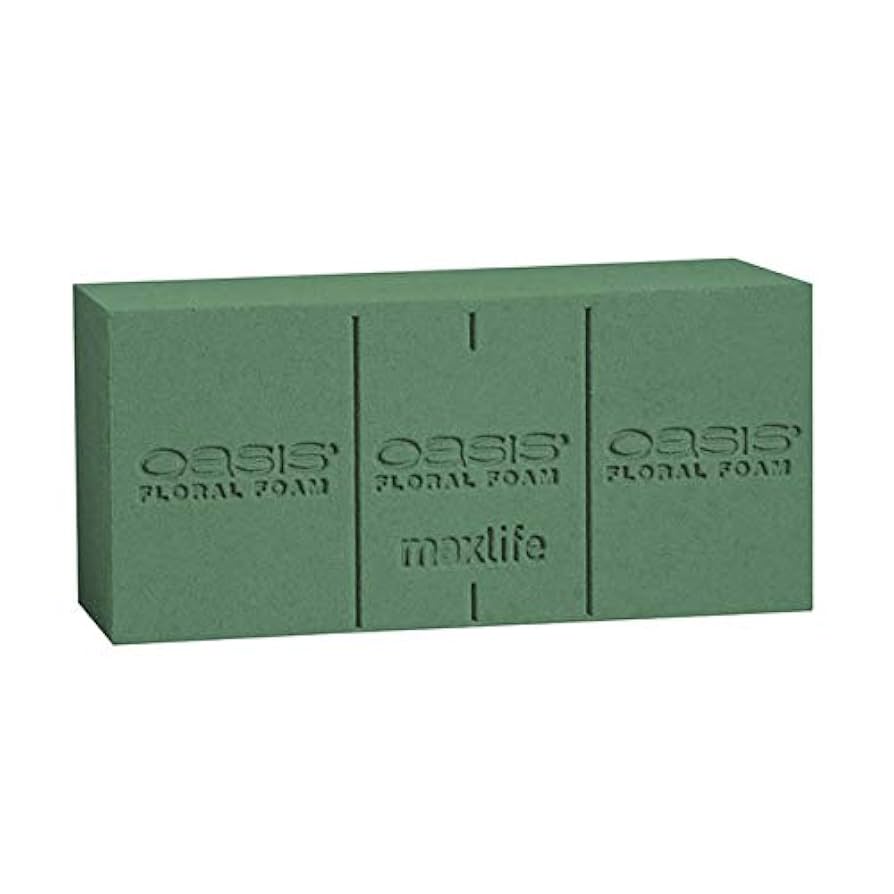 oasis bootleg 3枚セット Amazon.com: Oasis Floral Foam (Wet) Bricks Standard Maxlife